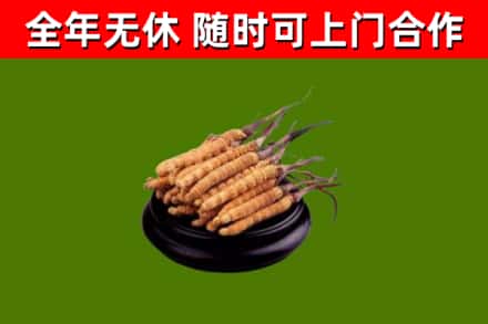 岱岳区烟酒回收冬虫夏草.jpg